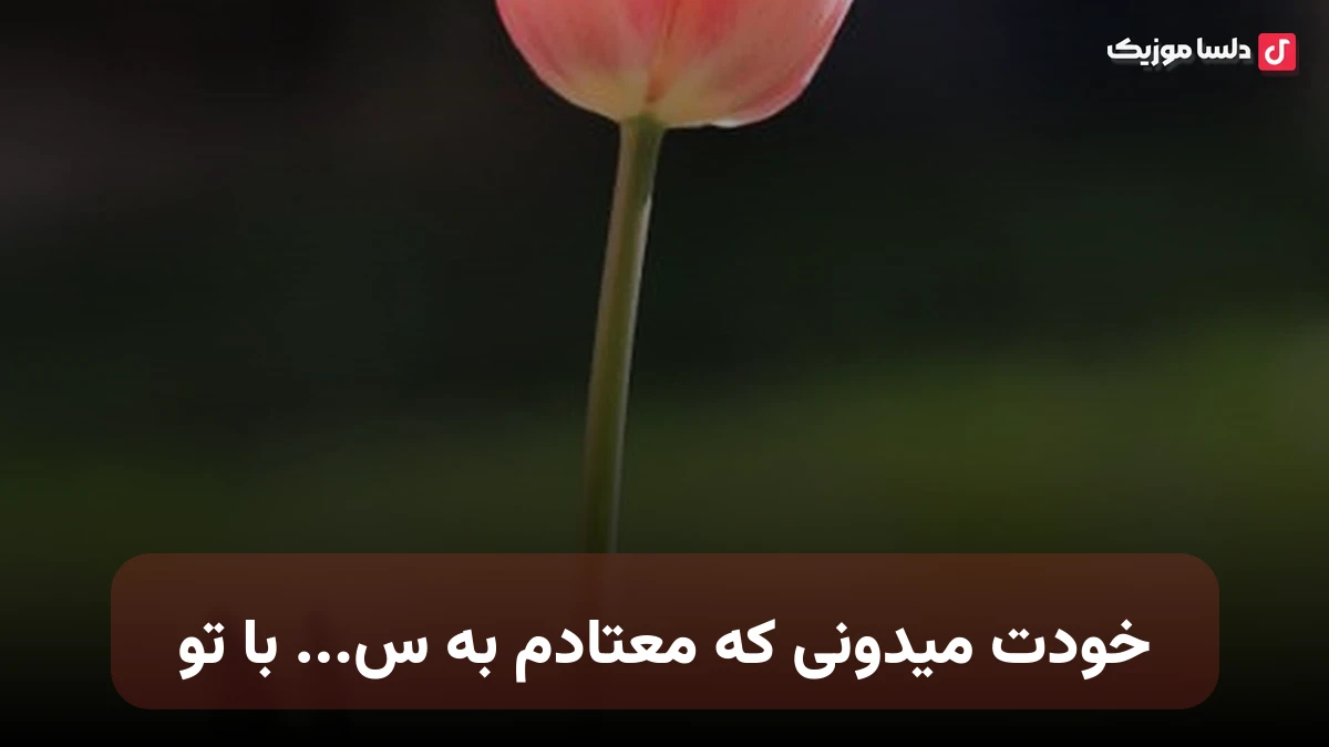 خودت میدونی که معتادم به س با تو تاکسیک سایدنگلو